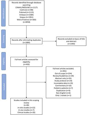 In vitro, in vivo and clinical studies comparing the efficacy of ceftazidime-avibactam monotherapy with ceftazidime-avibactam-containing combination regimens against carbapenem-resistant Enterobacterales and multidrug-resistant Pseudomonas aeruginosa isolates or infections: a scoping review